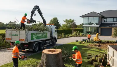 Professional landscaping and tree removal in Philadelphia, PA by Chop Chop Tree experts